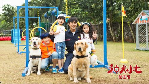 神犬小七第三季在线免费观看
